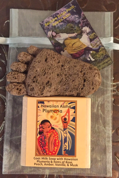Plumeria Goat Milk Soap with a hand-carved Pumice Foot in Organza